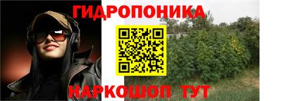 ГАЛЛЮЦИНОГЕННЫЕ ГРИБЫ Краснокаменск