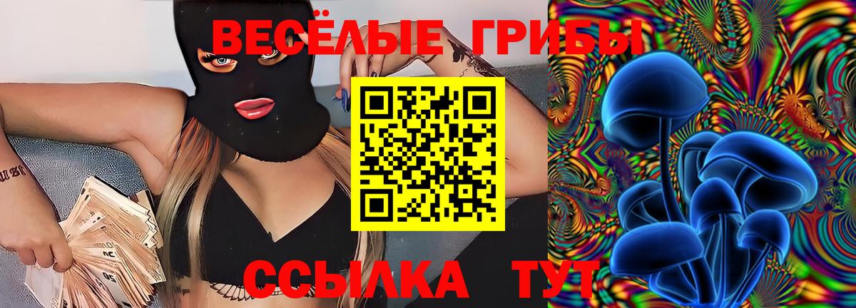 Галлюциногенные грибы GOLDEN TEACHER Аксай