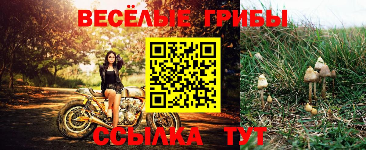 Аксай  Галлюциногенные грибы Magic Shrooms  Вход с VPN 