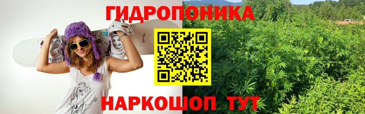 Канабис планчик Аксай